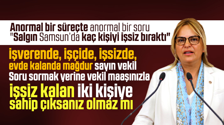 CHP'li Hancıoğlu, Korona nedeniyle Samsun'da kaç kişinin işsiz kaldığını sordu