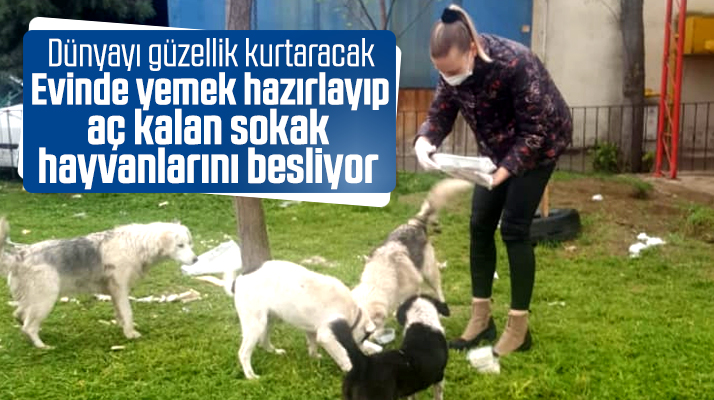 Samsun'da iş kadını çaresiz kalan sokak hayvanlarını yemek yapıp besliyor