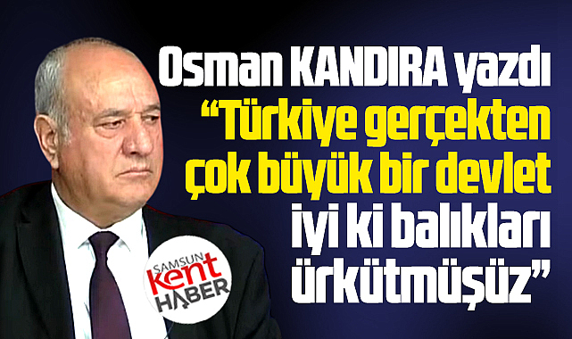 Türkiye gerçekten büyük bir devlet! İyi ki balıkları ürkütmüşüz!