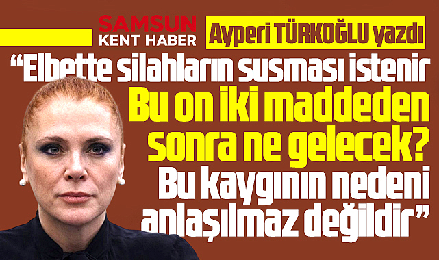 Çerçeve Yasada 12 maddeden sonra ne gelecek? Sonra ne olacak!