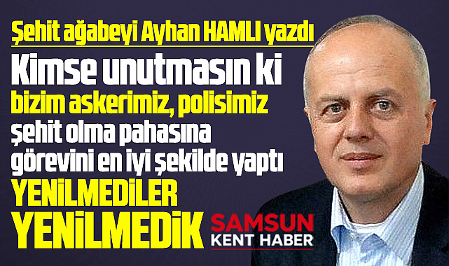 Terörsüz Türkiye, Çerçeve yasa ve şehitlerimiz
