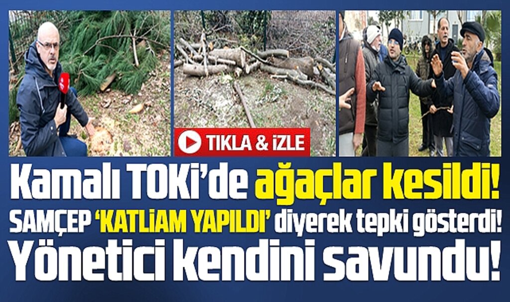 Samsun'da Kamalı TOKİ konutlarında ağaç katliamı iddiası