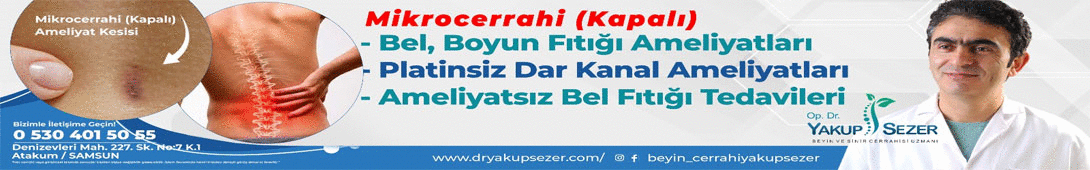 Samsun Yurt Savunma