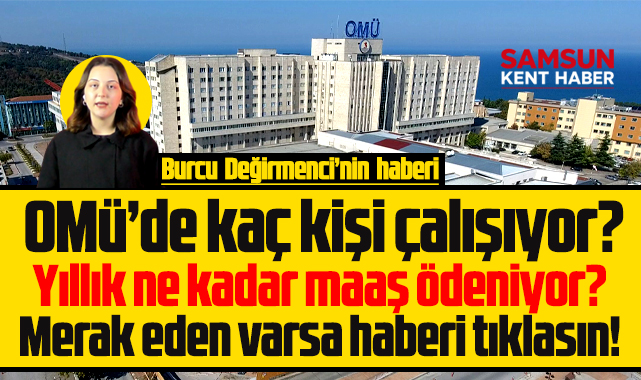 Samsun OMÜ'de 2025 yılında ödenen işte toplam maaş maliyeti!