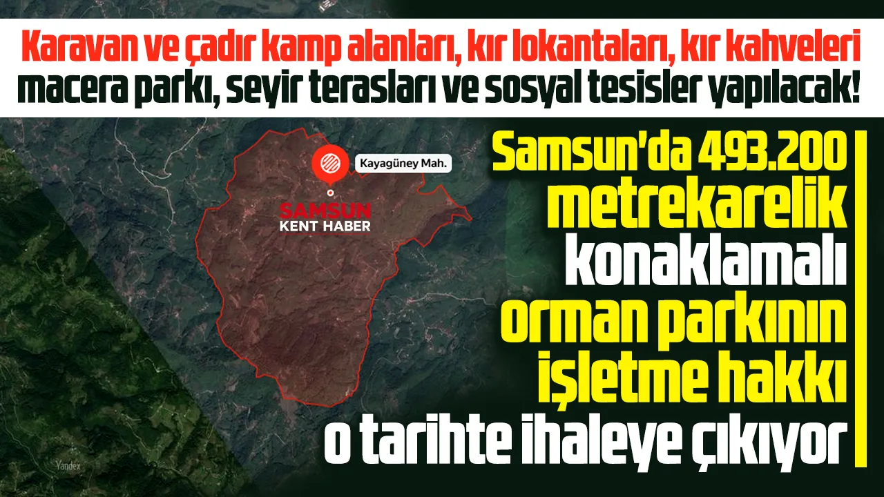 Samsun'da 493.200 metrekarelik orman parkının işletme hakkı ihaleye çıkıyor