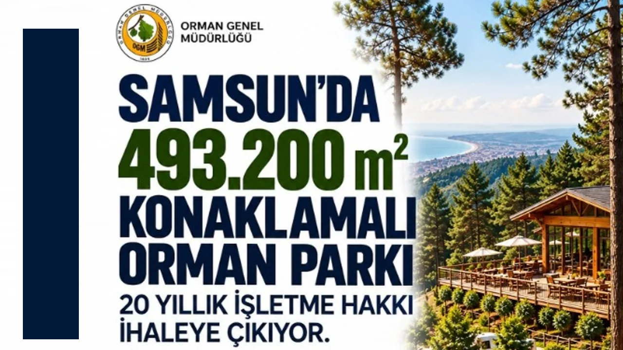 Samsun'da 493.200 metrekarelik orman parkının işletme hakkı ihaleye çıkıyor
